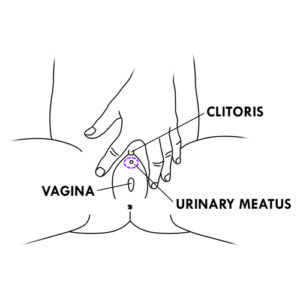 4e.Hand identifying urinary meatus-girl